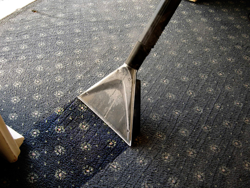 Пример работы по очистке коврового покрытия сухим паром